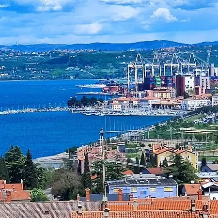 Vista